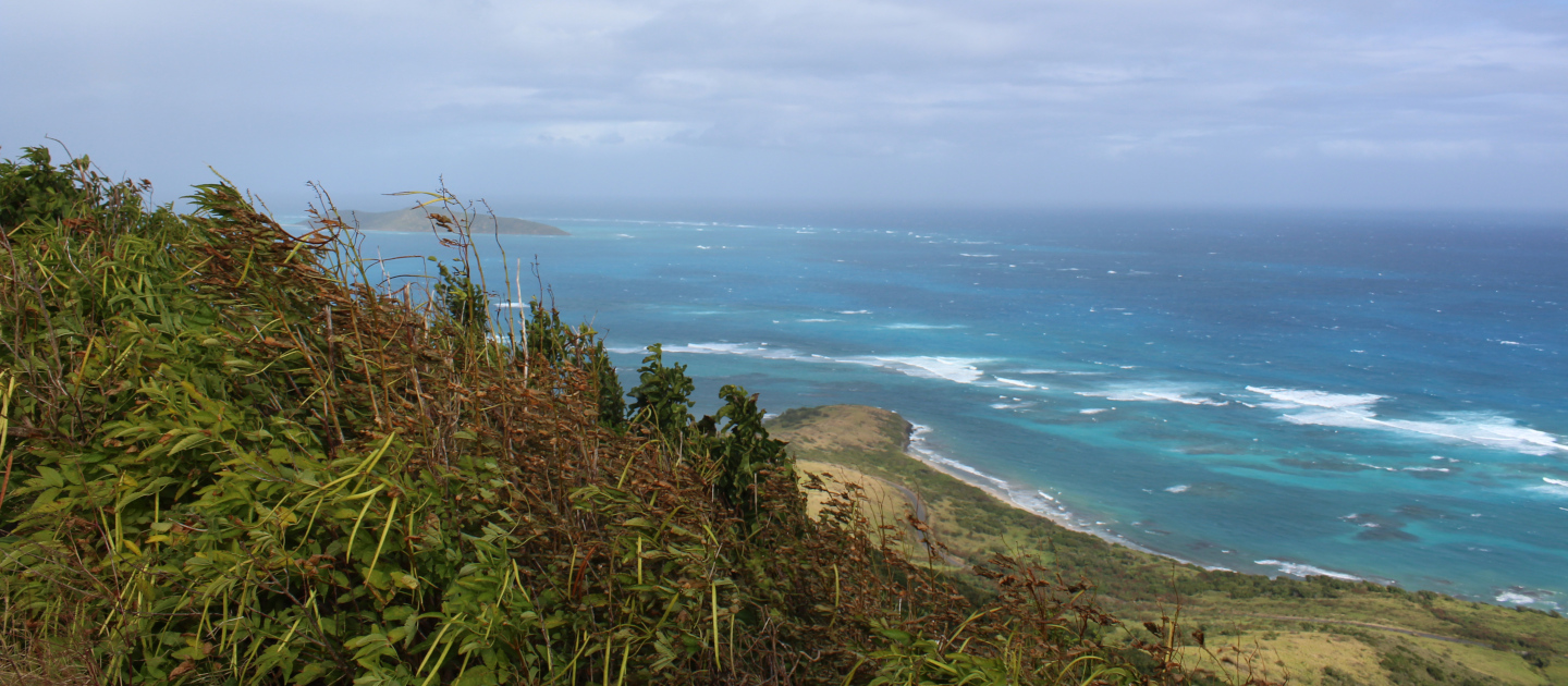 edit goat hill looking north to buck island
