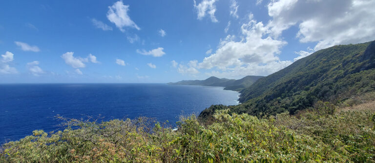 edit hams bluff lighthouse hike view north shore 768x335