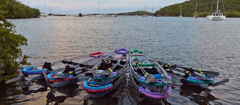 edit new business owners sea thru kayak 768x336