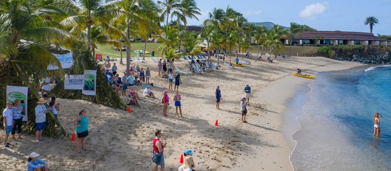 event coral reef swim dji 0008 098579 tsml large 768x337