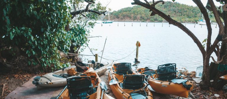 feat virgin kayak tours salt river 768x336