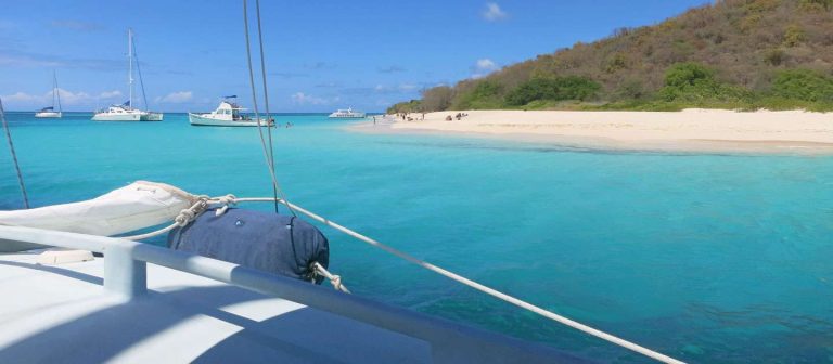 feat buck island tours 768x336