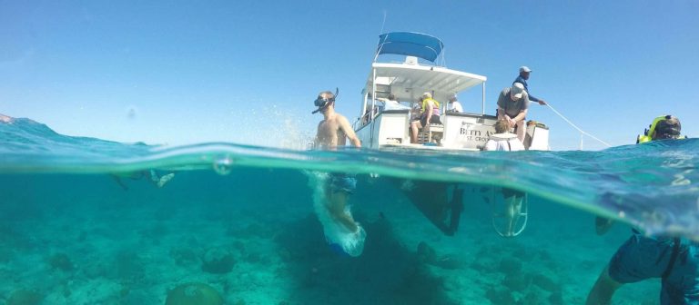 feat caribbean sea adventures gallery 4 768x336