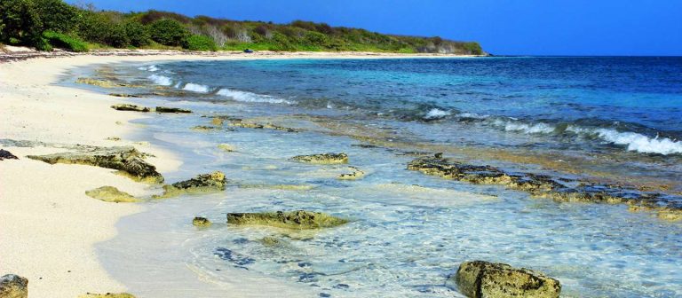 feat coakley bay 00 768x336