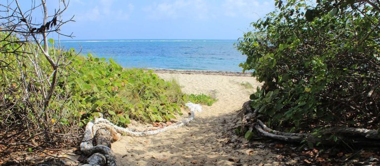 feat coakley bay 02 768x336
