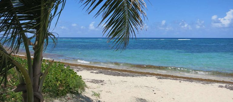 feat columbus landing 01 768x336