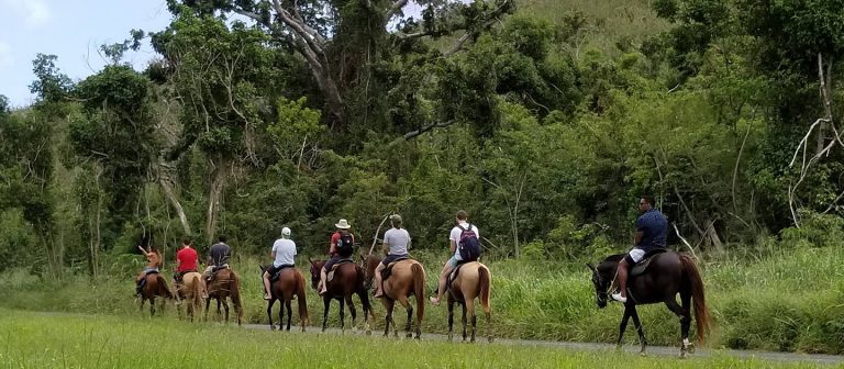 feat cruzan cowgirls rainforest group 1 768x336