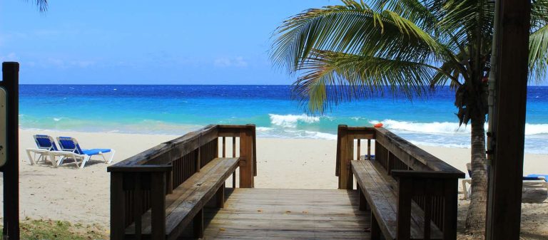 feat davis bay beach 02 768x337