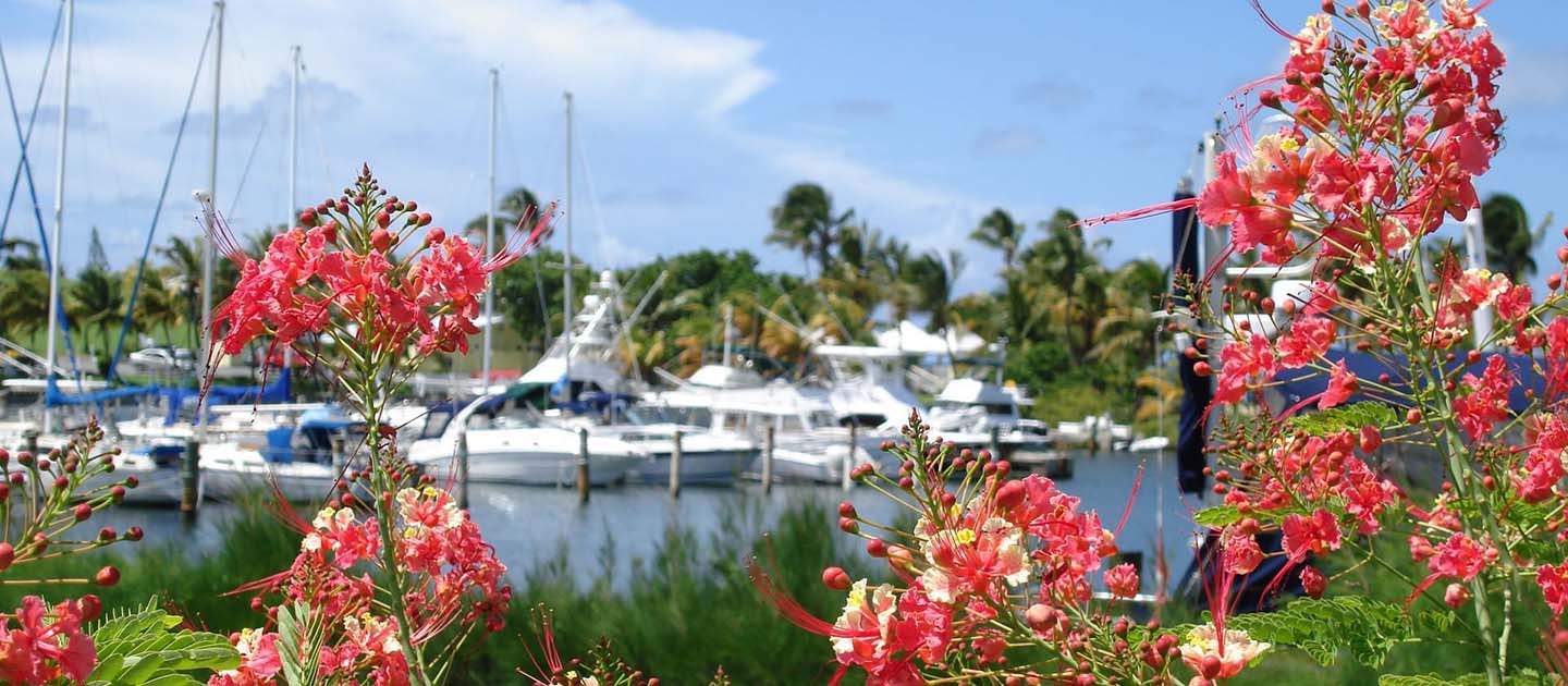 feat green cay marina