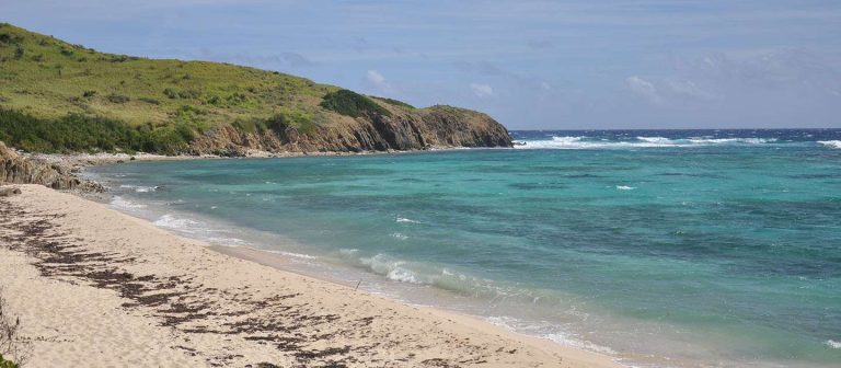 feat isaacs bay mz 03 768x336