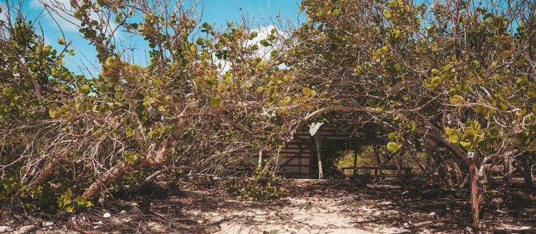 feat jacks bay mz 01 768x336