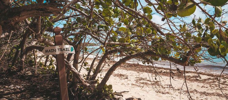 feat jacks bay mz 02 768x336