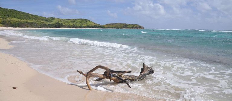 feat jacks bay mz 04 768x336