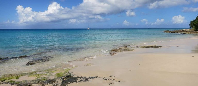 feat la grange 02 768x336