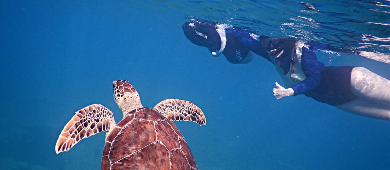 feat mermaid adventures Turtle Thumbs up blue shirt DSCN32231 768x336
