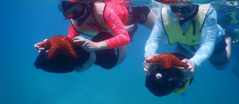 feat mermaid adventures couple with starfish 1 768x336