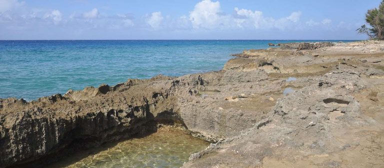 feat monks bath mz 04 768x336