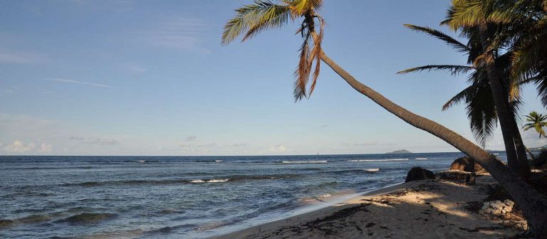 feat pelican cove mz 02 768x336