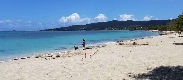 feat sand castle beach 01 768x336