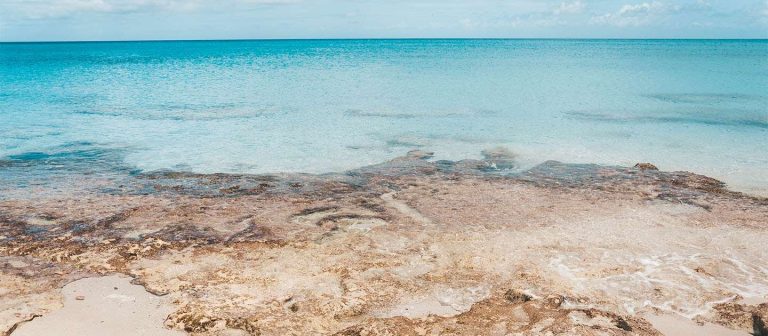 feat sand castle mz 03 768x336