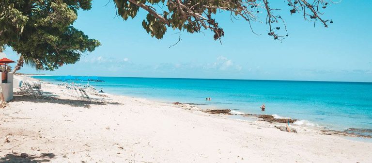 feat sand castle mz 04 768x336