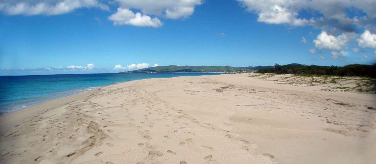 feat sandy point 00 768x336