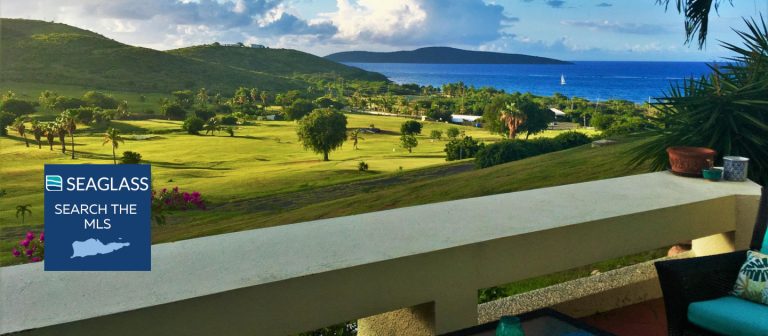 feat sanni craft 132 the reef view 768x336