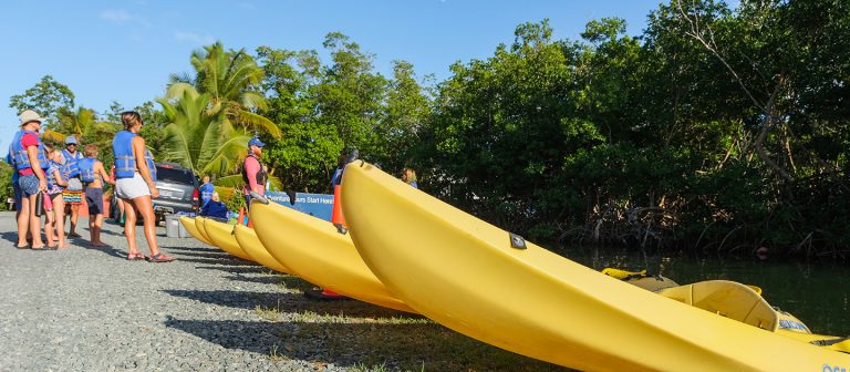feat sea thru kayaks group at launch 768x336