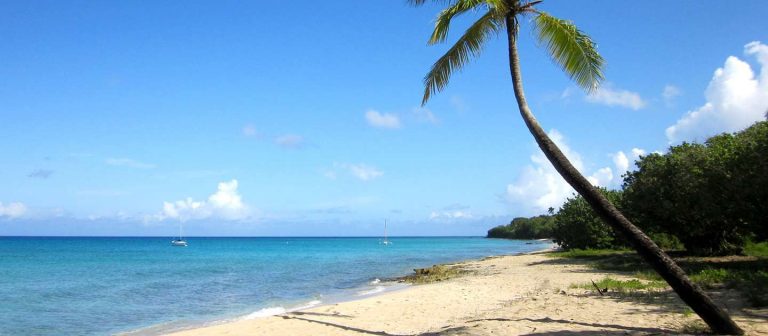 feat sprat hall beach 00 768x336