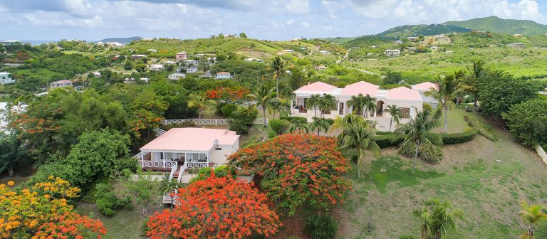 feat st croix for rent flamboyant tree house 768x336