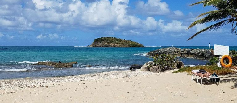 feat tamarind reef 01 768x336