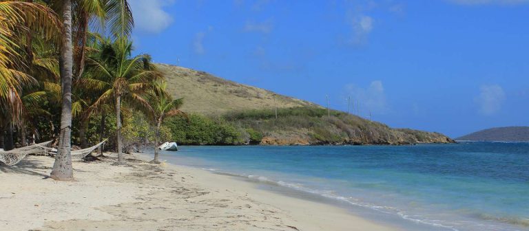 feat teague bay 01 768x336