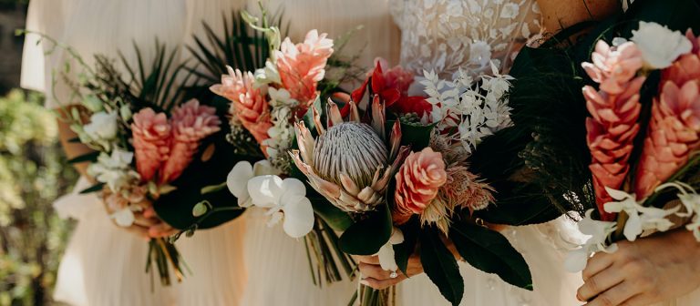 featured stx weddings 2024 768x336