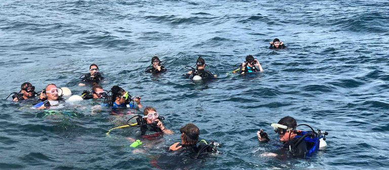 gallery SCUBA divers 768x336