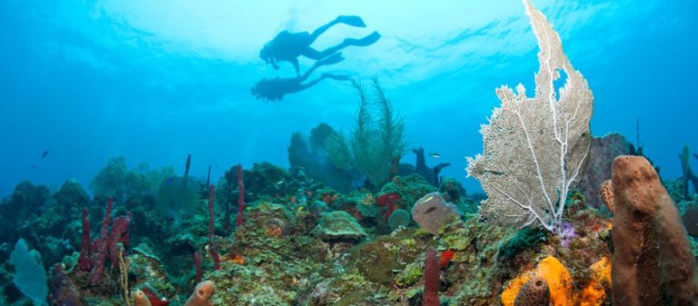 gallery cane bay dive shop northstar fb 768x337