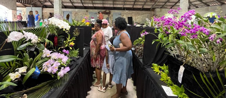 gallery orchid show 2024attendees 768x336