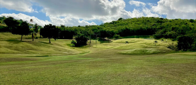 gallery reef golf course Fairway to 6 tee.3 4 768x336