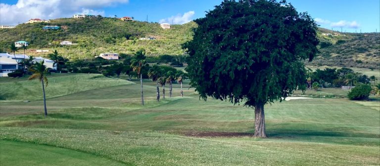 gallery reef golf course From 3 green down fairway.1 4 768x336