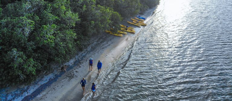 gallery sea thru kayaks aeria walking on beach 768x337