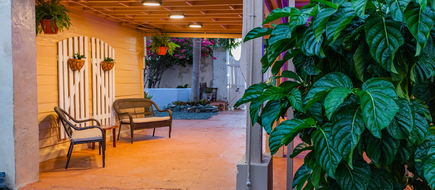 gallery victoria house courtyard