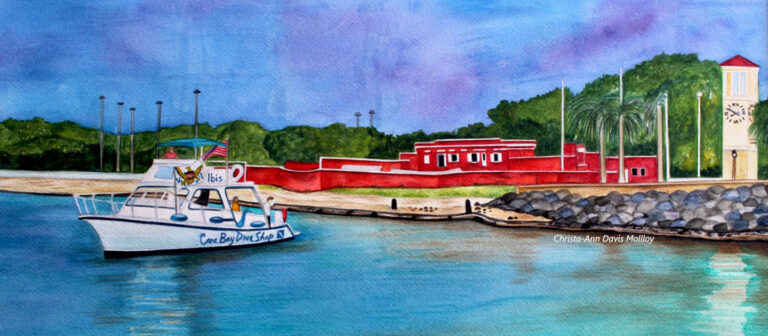 feat art thursday Cane Bay boat at Fort Frederik cchrista molloy 768x336