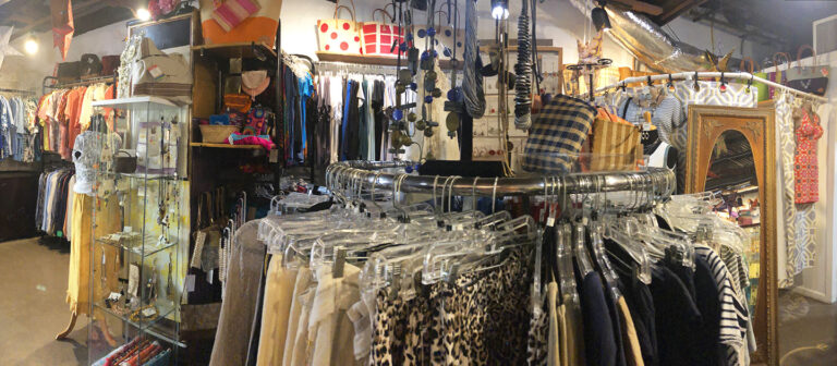 gallery from the gecko panoramic 768x336