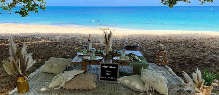feat Lush Picnic 768x336