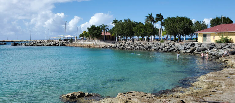 feat frederiksted snorkelers at pier 768x336