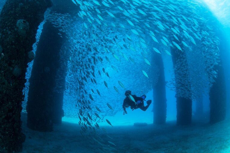 frederiksted pier diver dot 768x512