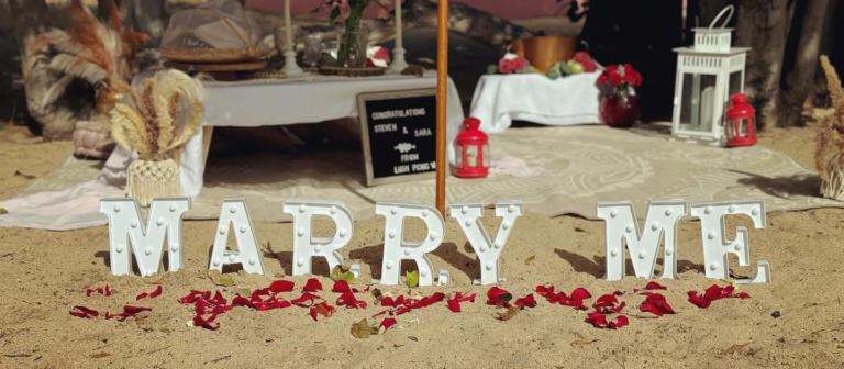 gallery Lush Picnic marry me 768x336