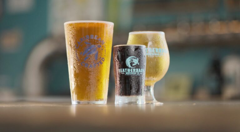leatherback brewing beers in glasses fb 768x425
