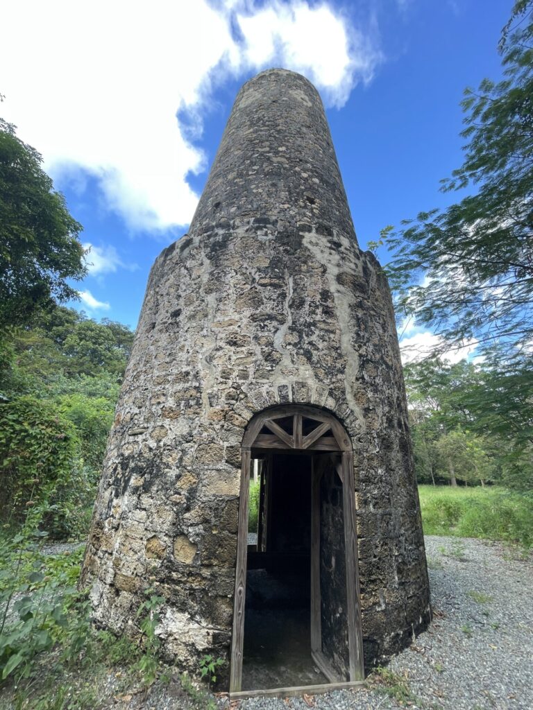 morninstar water mill close up