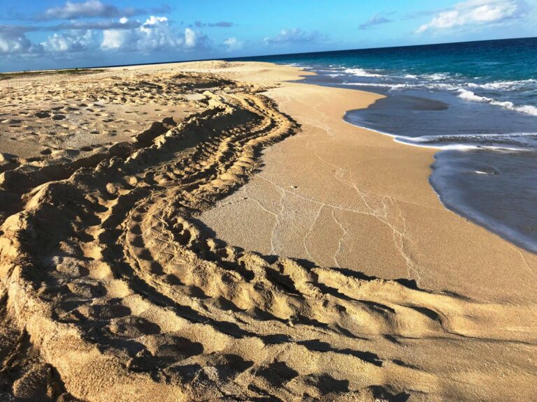 sandy point wildlife refuge fb 768x576