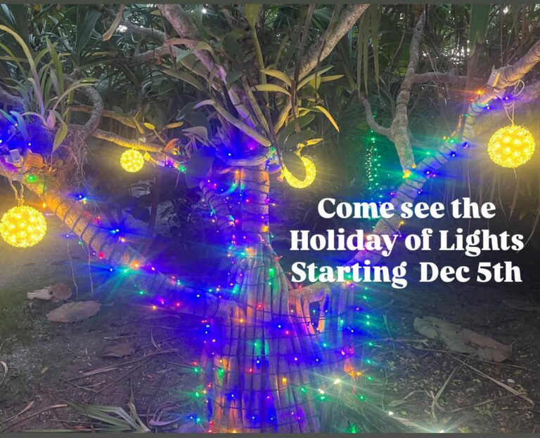 Botanical Gardens festival lights teaser 768x624